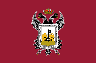BANDERA AYUNTAMIENTO DE VERA