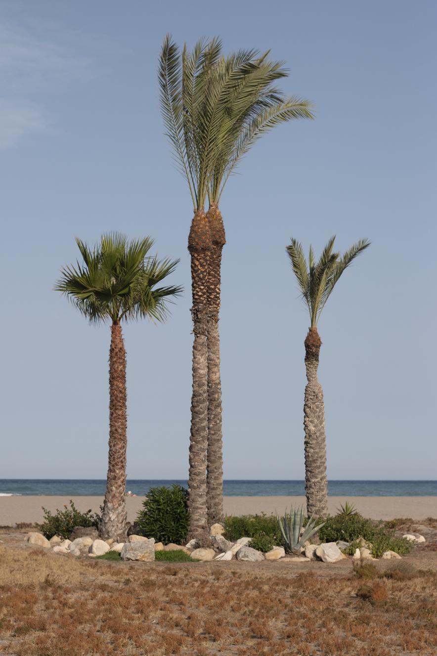 IMAGEN PLAYAS DE VERA